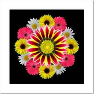 gerbera flower daisies gerberas daisy sunflower floral bloom Posters and Art